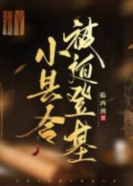 小县令被迫登基(基建)