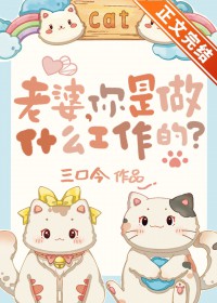 老婆,你是做什么工作的