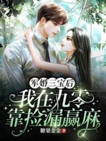 军婚三宝后,我在九零靠捡漏赢麻