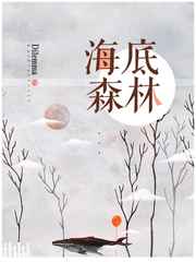 ����ɭ��