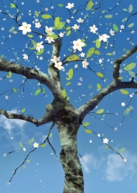 ���˶�ƪ��кϼ�