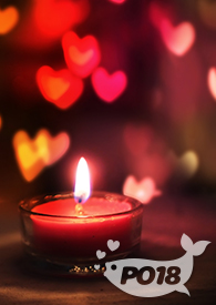 捡到一只吸血鬼(sc,1v1,H)