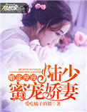 婚途漫漫:陆少蜜宠娇妻