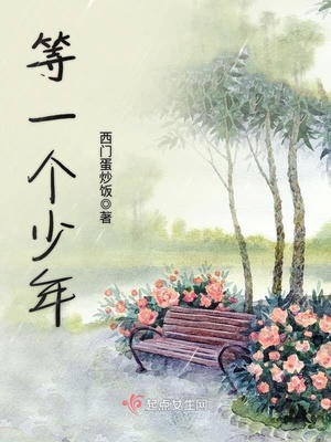 等一个少年