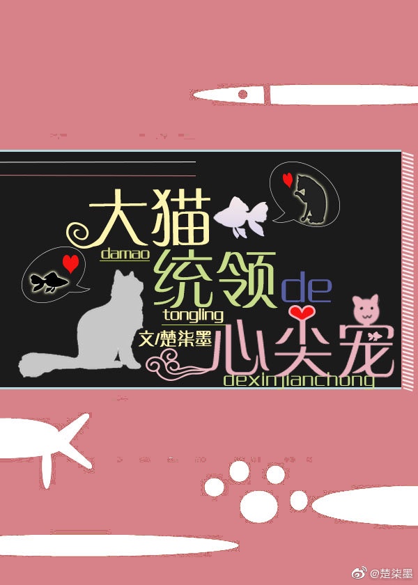 大猫统领的心尖宠