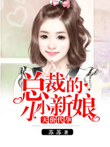 天价代孕:总裁的小小新娘(粱芷妍,恒廷阎)