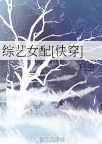 快穿女配的综艺之旅