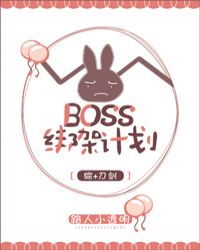 [����ͬ��]Boss��ܼƻ�