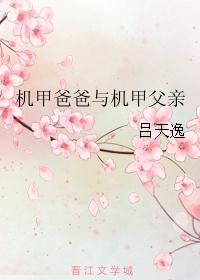 机甲爸爸与机甲父亲/攻和受