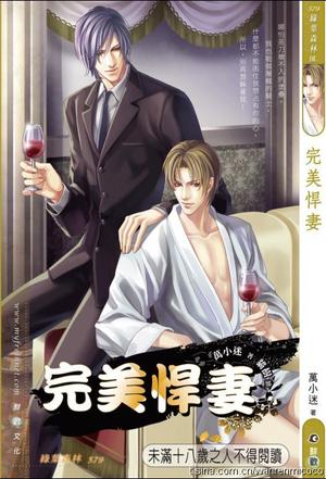 完美悍妻(出书版)