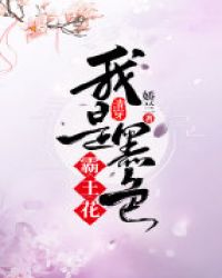 清穿,我是黑色霸王花
