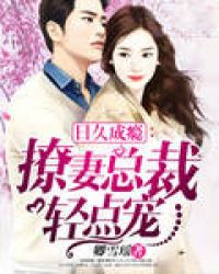 日久成瘾:撩妻总裁轻点宠