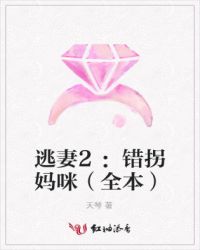逃妻2:错拐妈咪