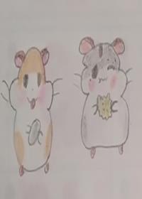 ������ˮ