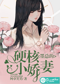 ī�ܵ�Ӳ��С����