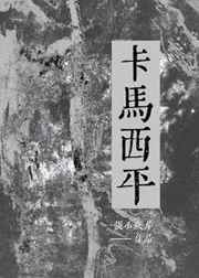 ������ƽ