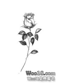 ǽ�д� [���� NP]