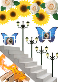 ��������