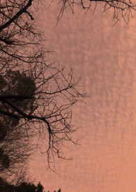 ������� Atwood